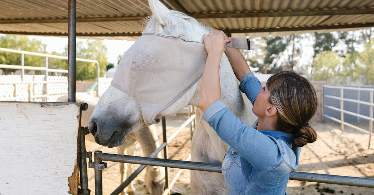 Sprijin financiar semnificativ pentru crescătorii de animale din România