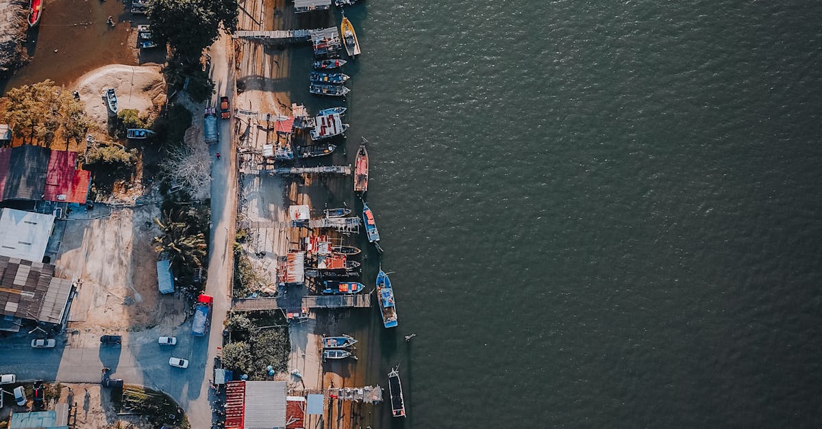 Călărași se pregătește pentru un port turistic de excepție