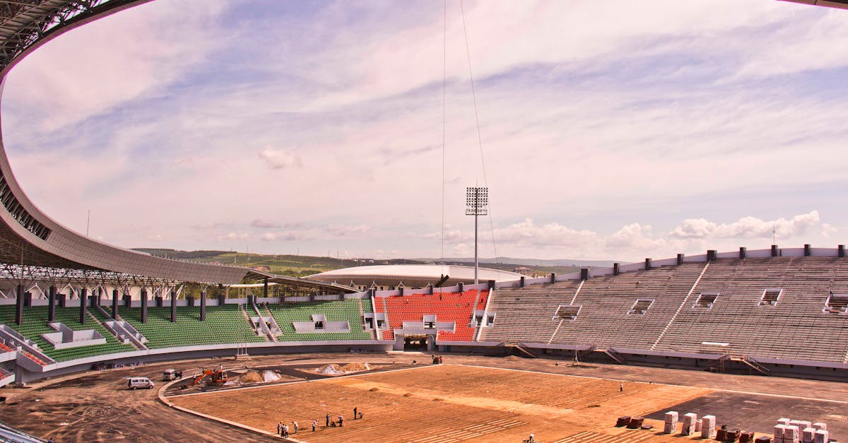 Stadionul Tineretului: proiectul în așteptare din cauza austerității