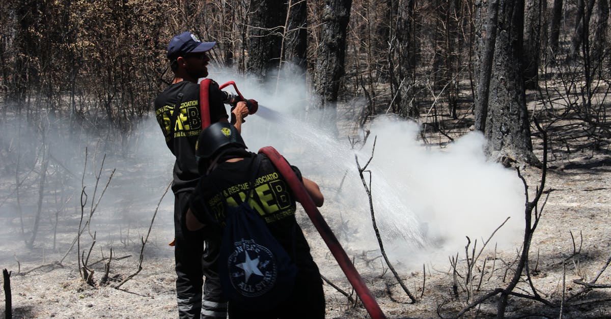 Incendiile devastatoare din Turcia: 10 arestări și anchete în desfășurare