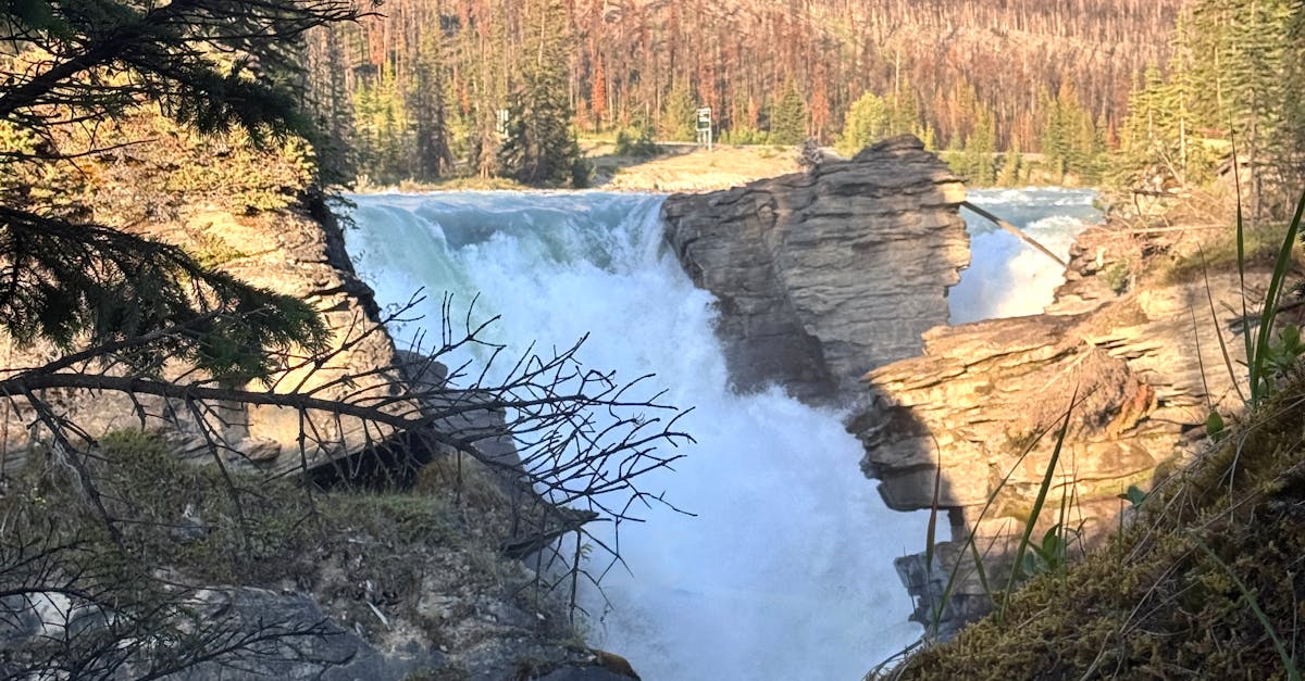 Descoperă cascada Pișoaia: un loc de vis în inima Apusenilor