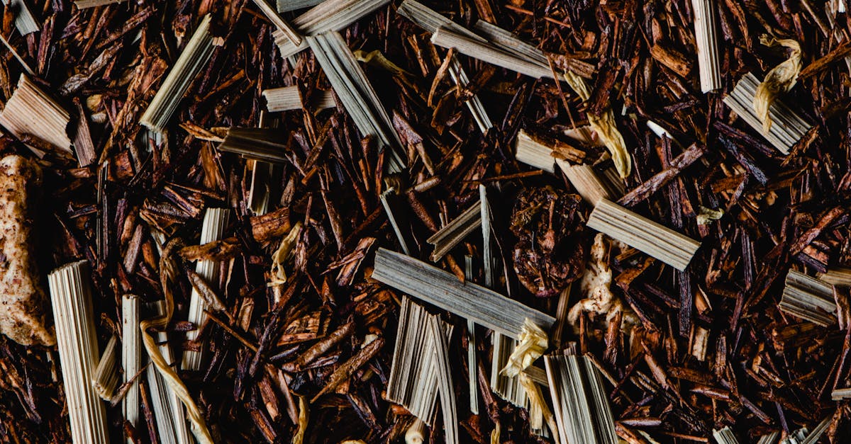 Rooibos: ceaiul african cu beneficii uimitoare pentru sănătate și slăbire
