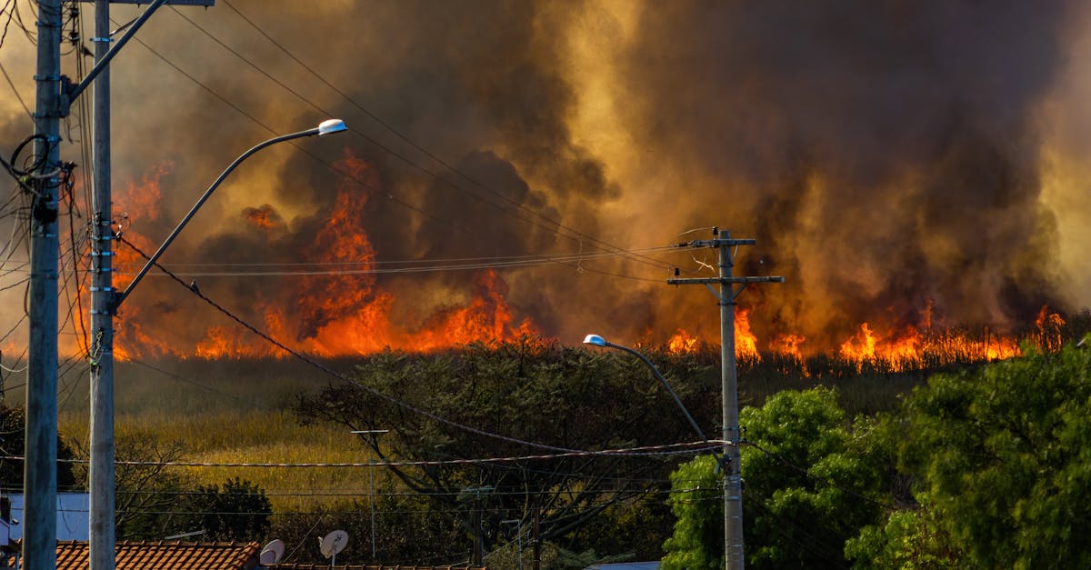 Pompierii intervin pentru a stinge un incendiu de vegetație în Valea Inzelului