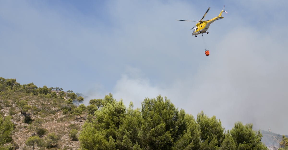 Incendiu la un avion Ryanair: 18 răniți, evacuare în panică