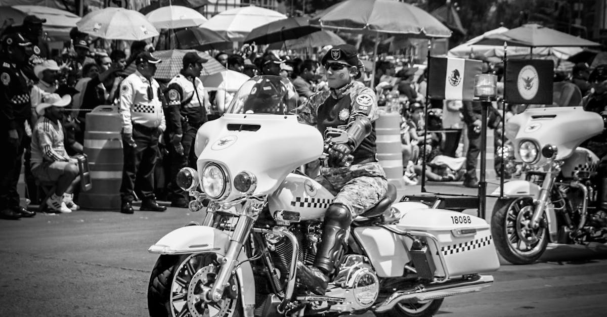 Incidente la Festivalul VIBE: dosare penale pentru furt și violență