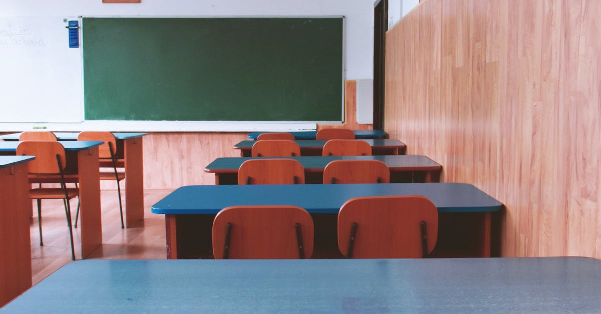 Reforma educațională: creșterea numărului de elevi pentru eficientizarea școlilor