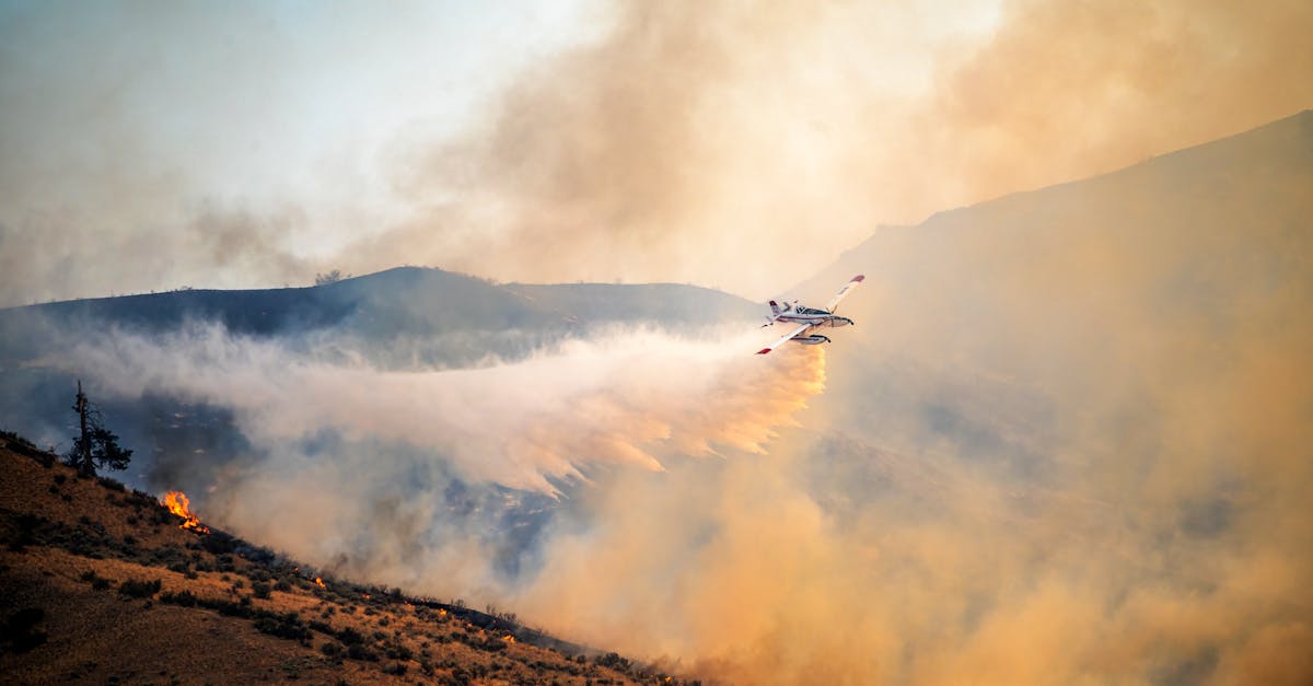 Incendiu major în cartierul Alfa: ISU Arad emite alertă de urgență