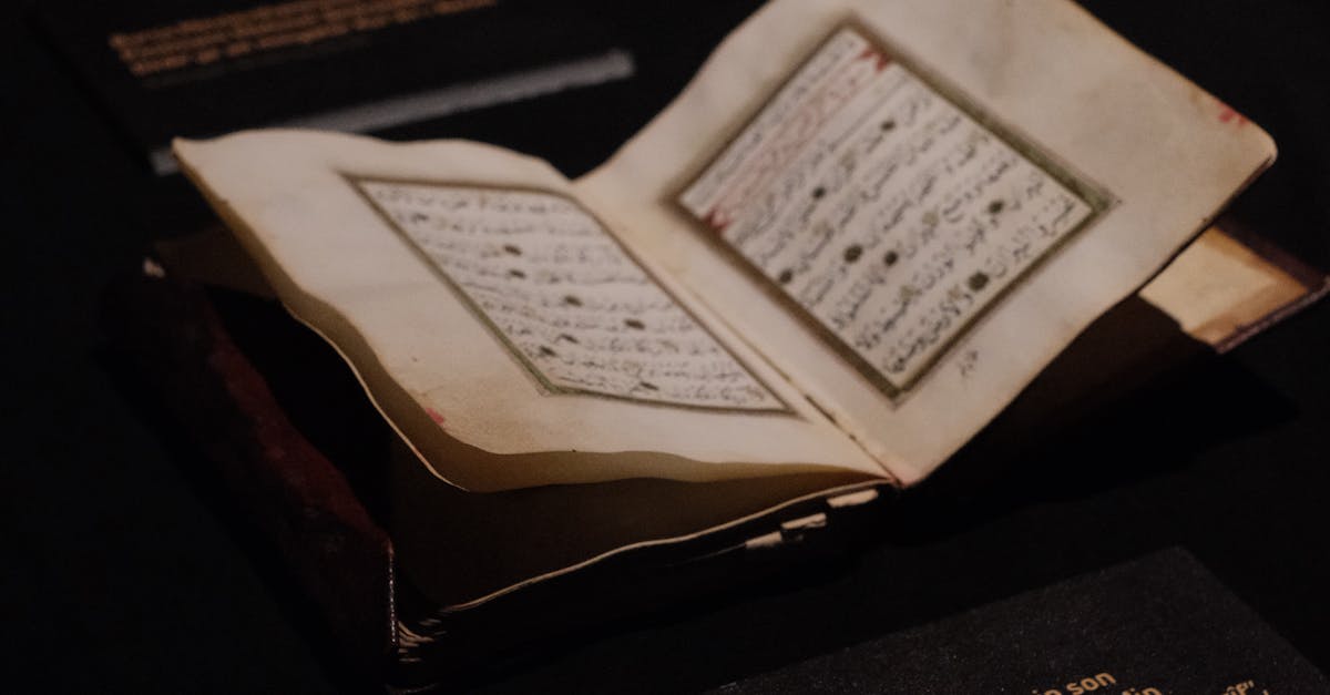 Descoperirea unui tezaur impresionant în Mureș: artefacte medievale expuse publicului