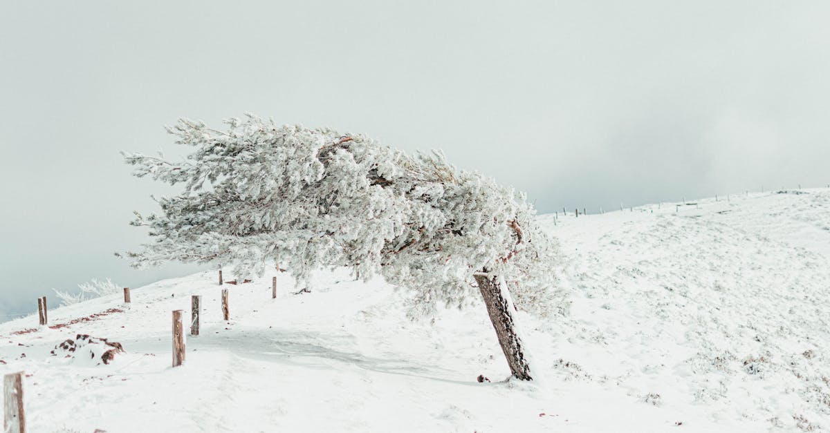 România se confruntă cu temperaturi record: caniculă extremă în sud și vest