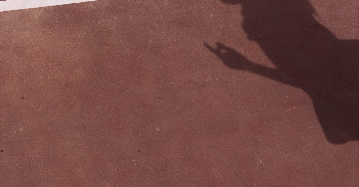 Iași Open 2023: Românii își află adversarii, iar Wawrinka se pregătește de debut