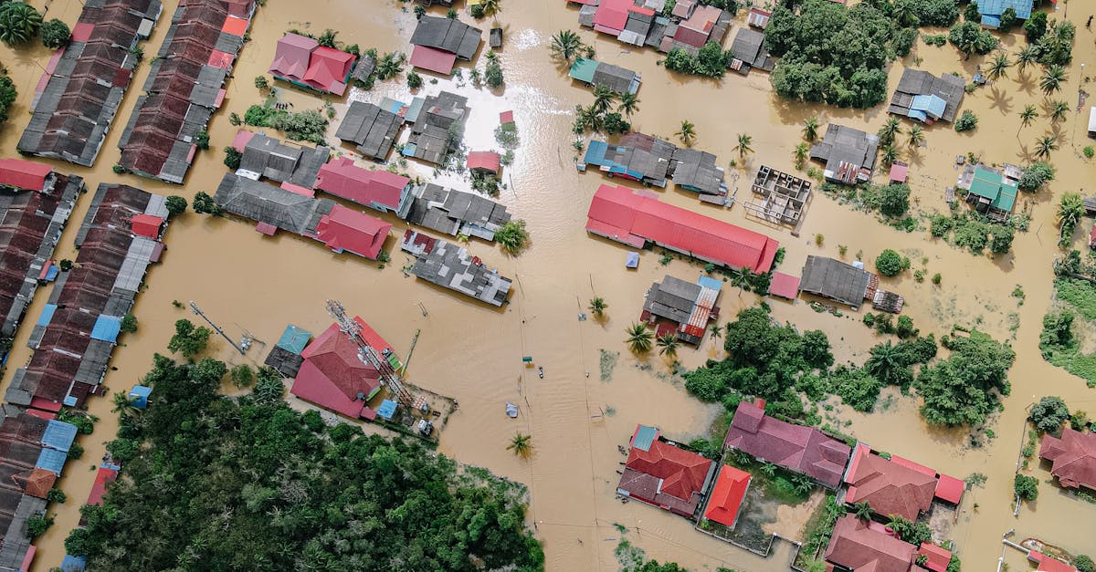 Tragedie în Texas: 11 fete dispărute în urma inundațiilor devastatoare