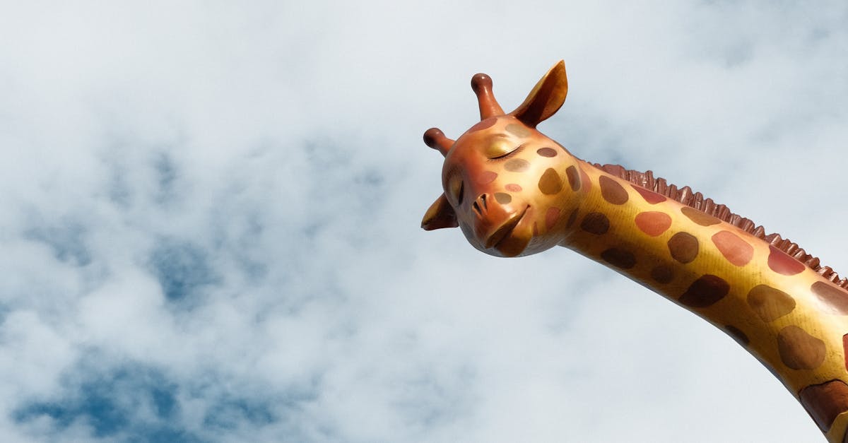 Grădina Zoo Bârlad atrage un număr record de vizitatori zilnic