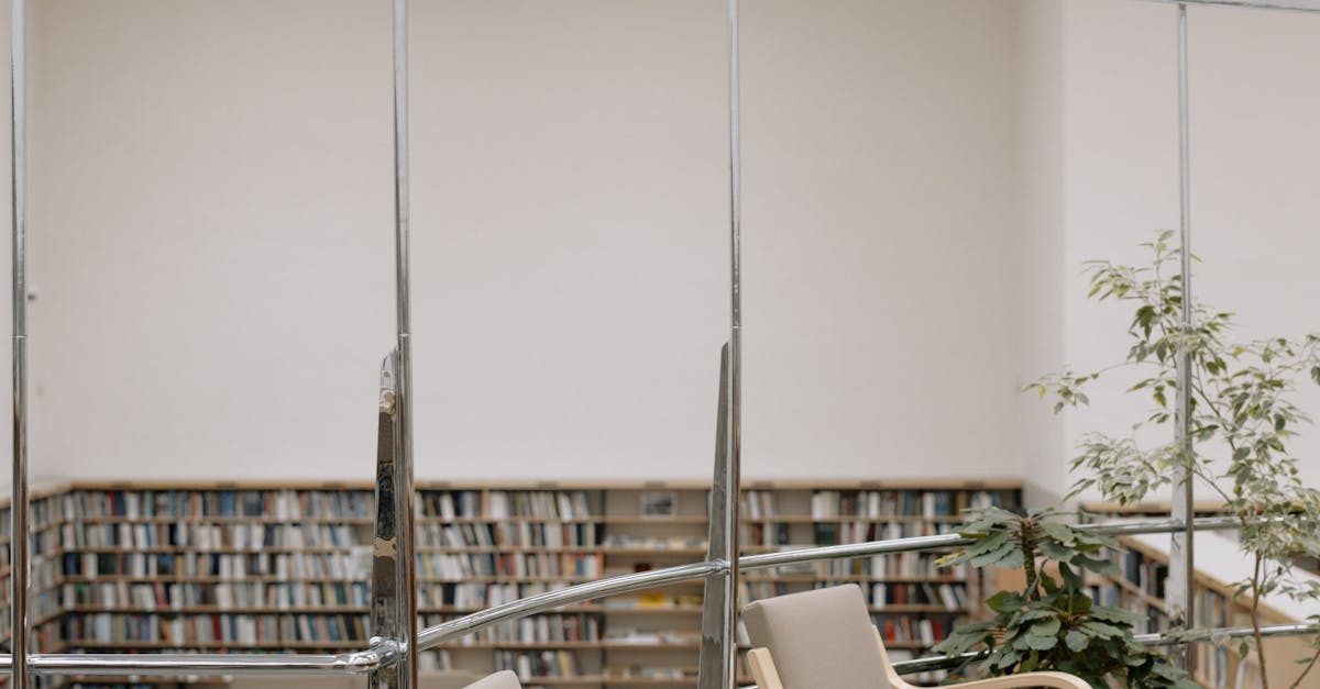 Biblioteca Județeană din Timișoara se transformă: un proiect ambițios în Piața Libertății