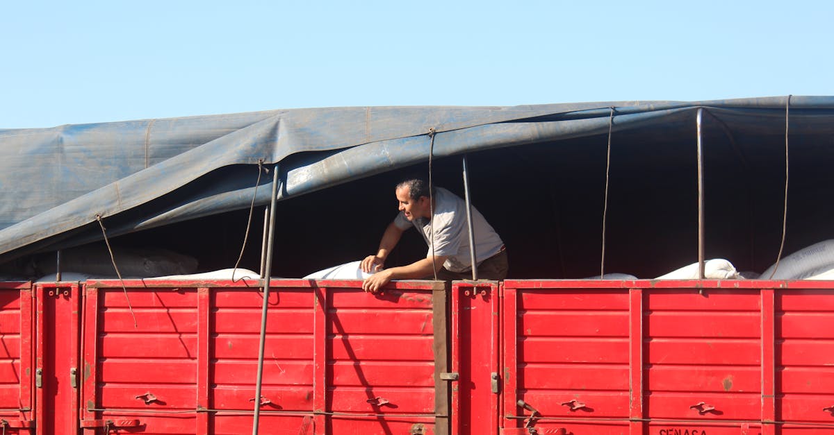 Controale ITM Dâmbovița în agricultură, silvicultură și pescuit: ce trebuie să știe angajatorii