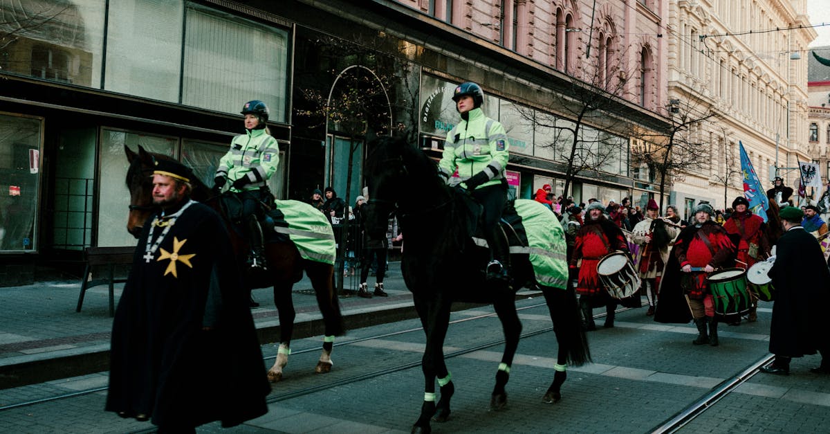 Festivalul VIBE 2025: Siguranța publică asigurată fără incidente