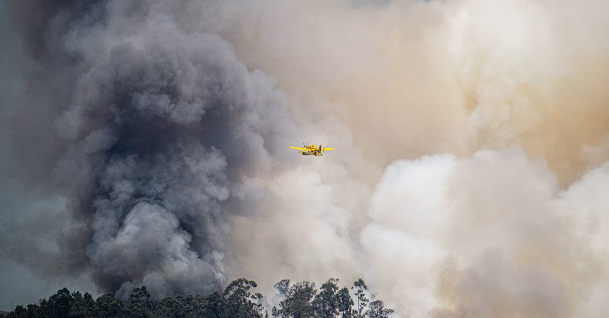 Incendiu devastator în zona Vârfului Penteleu: Elicopter trimis în ajutor