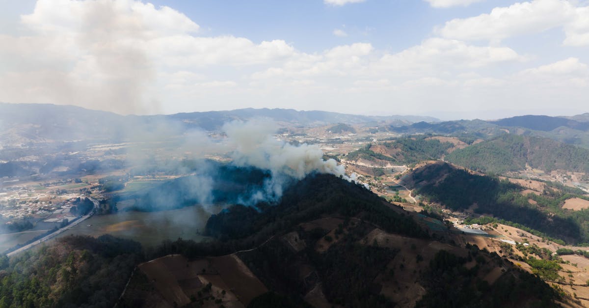 Incendiu devastator în Cunești: 100 de hectare de vegetație distruse