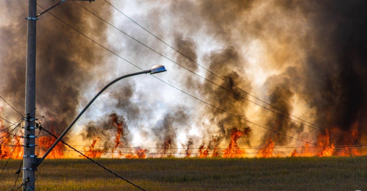 Incendiile devastatoare din România: pagube uriașe și intervenții dificile