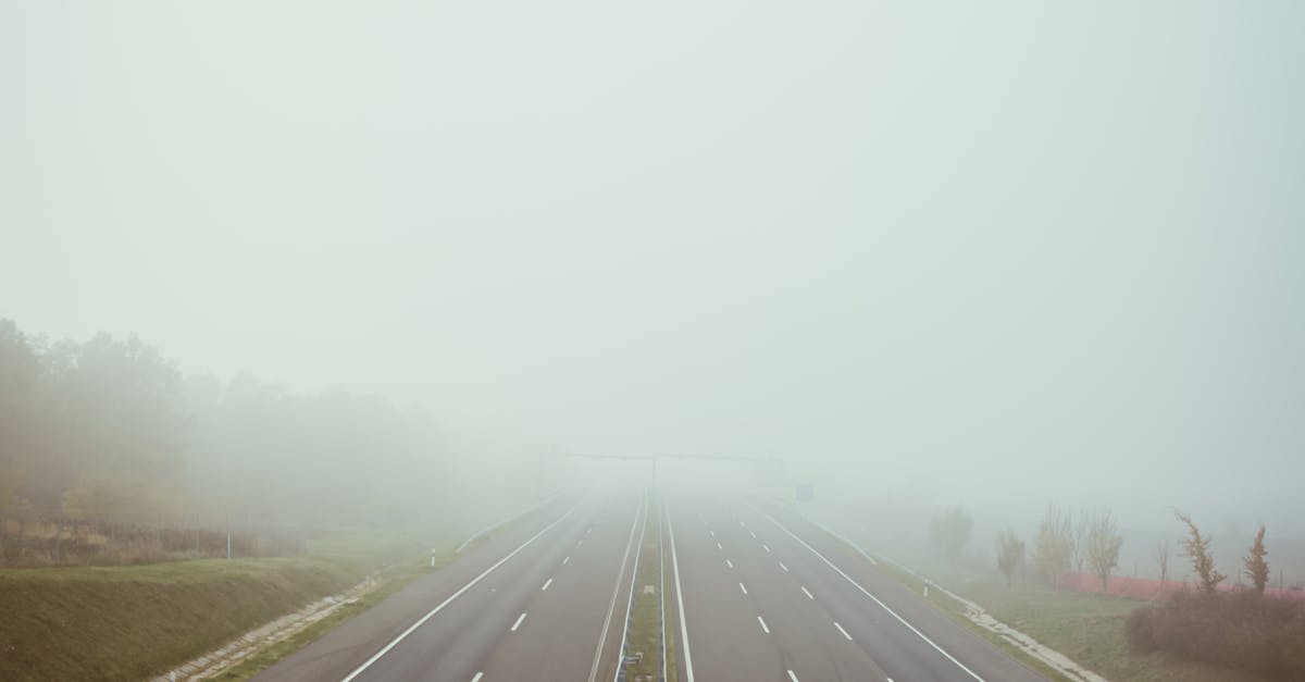 Șofer sub anchetă pentru un incident cu un urs pe Transfăgărășan