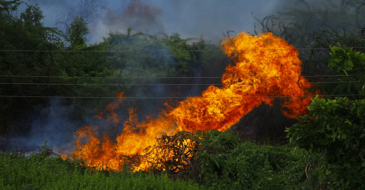 Weekend cu 23 de incendii de vegetație în Teleorman: o situație alarmantă