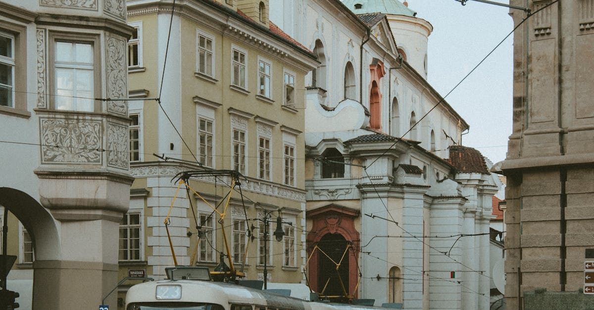 Timișoara celebrează 156 de ani de transport public cu tramvaiul tras de cai