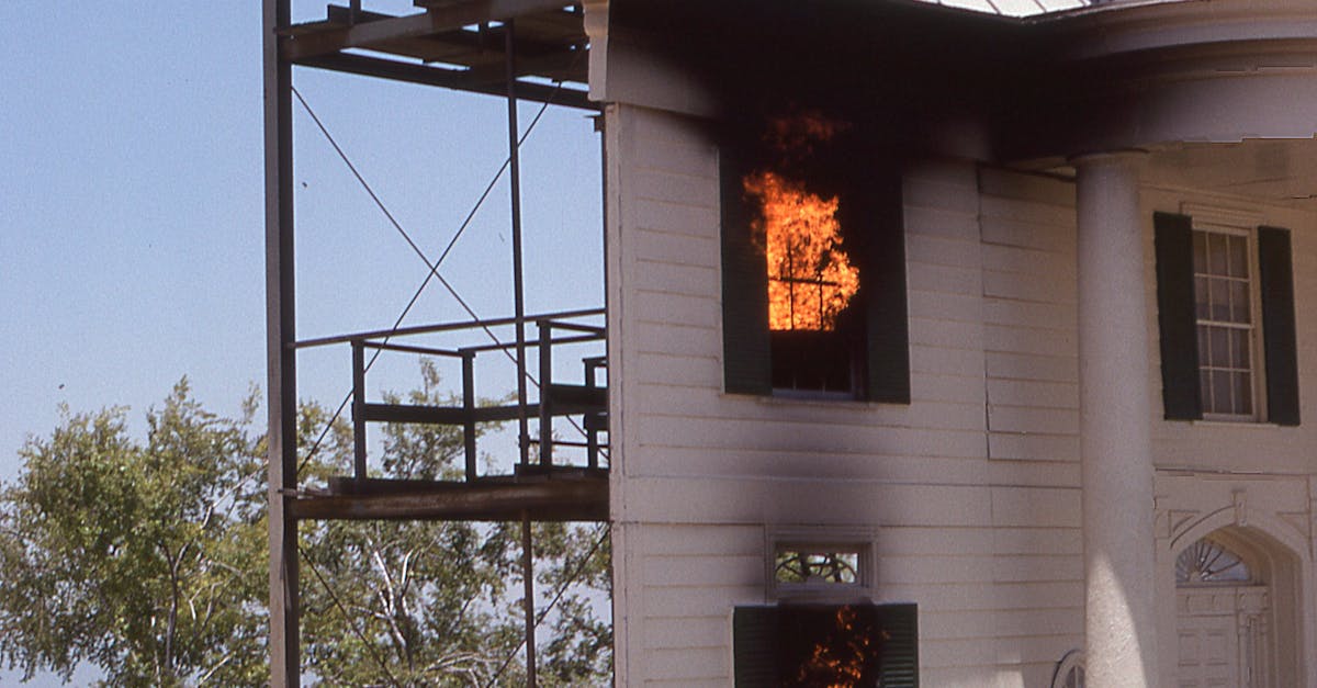 Incendiu devastator în Bacău: o hală de lemn distrusă de flăcări