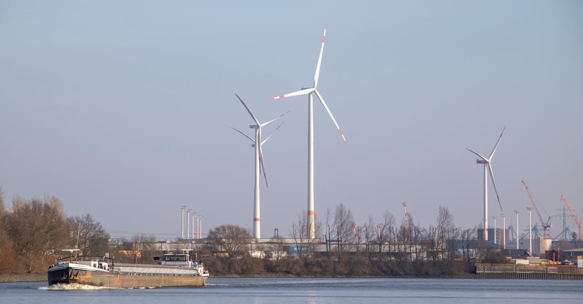 Primul port fluvial modernizat din România devine operațional