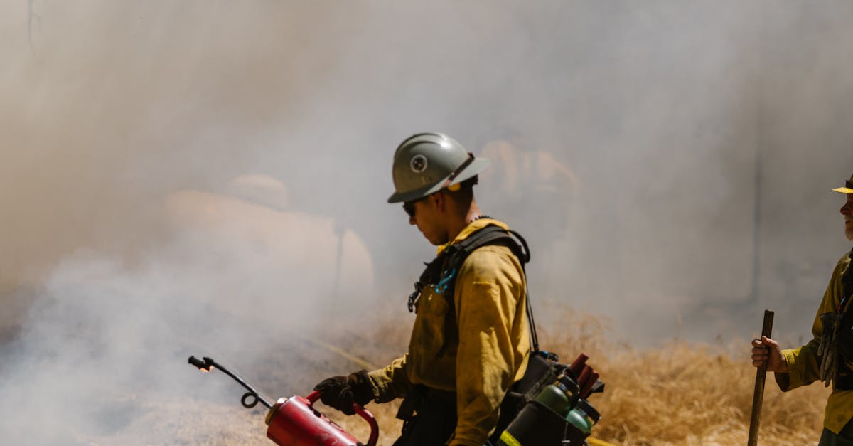 Macedonia de Nord instituie stare de urgență din cauza incendiilor devastatoare