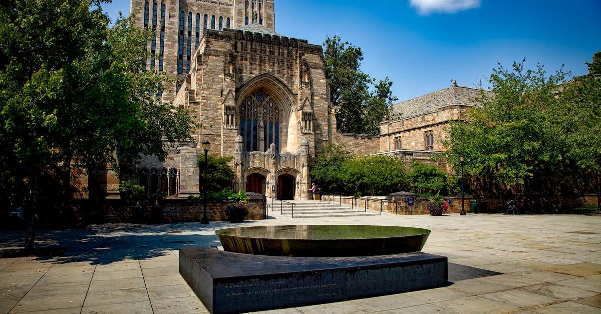 Universitatea Yale, declarată indezirabilă în Rusia din cauza legăturilor cu activiștii
