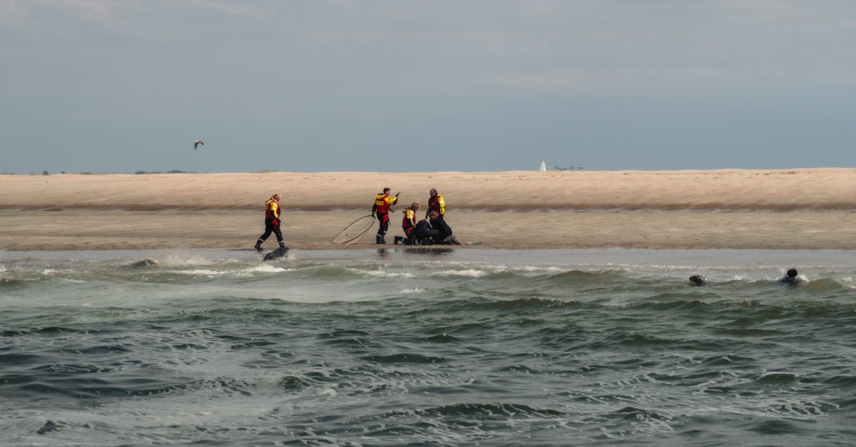 Intervenție rapidă de salvare pe litoral: două surori salvate din mare