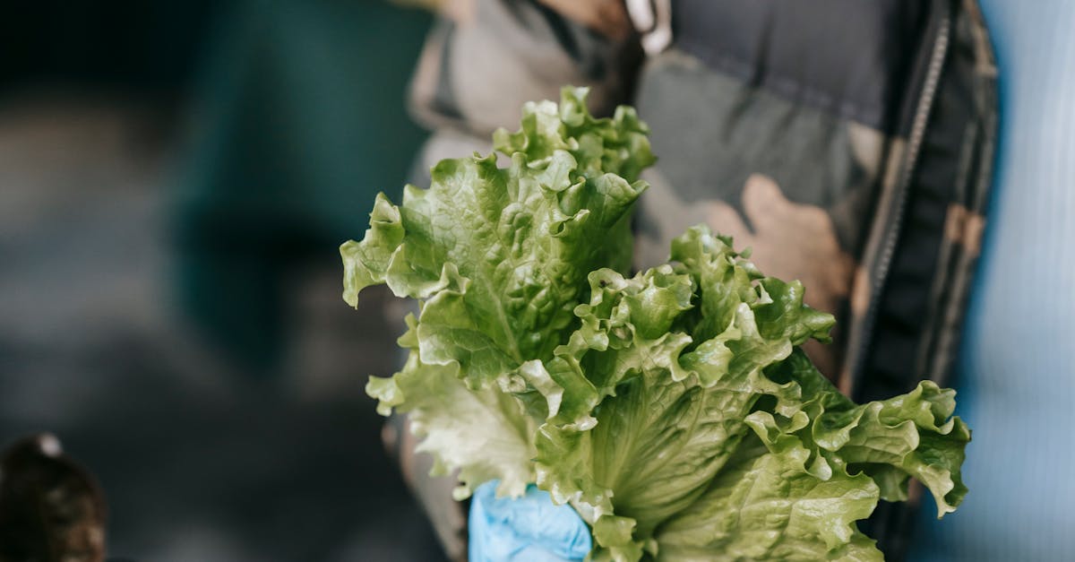 Operatorii din sectorul alimentar din Dâmbovița primesc informații esențiale pentru siguranța alimentelor