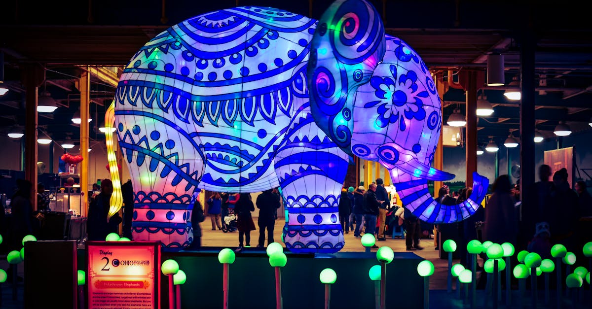 Evenimente interesante în Timișoara pe 9 iulie 2025