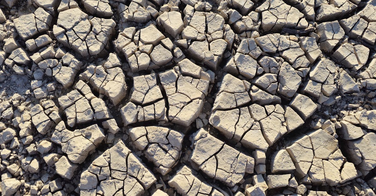 Iunie 2025: Europa de Vest se confruntă cu cele mai ridicate temperaturi din istorie