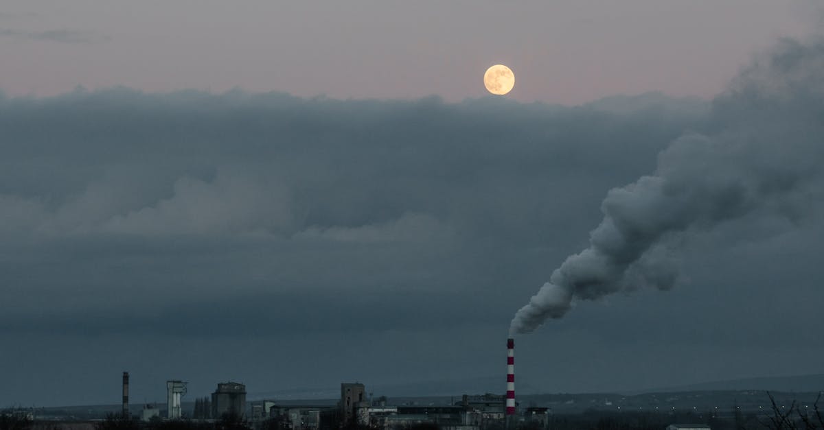 Salubris folosește vaporizatoare pentru a combate canicula în Iași