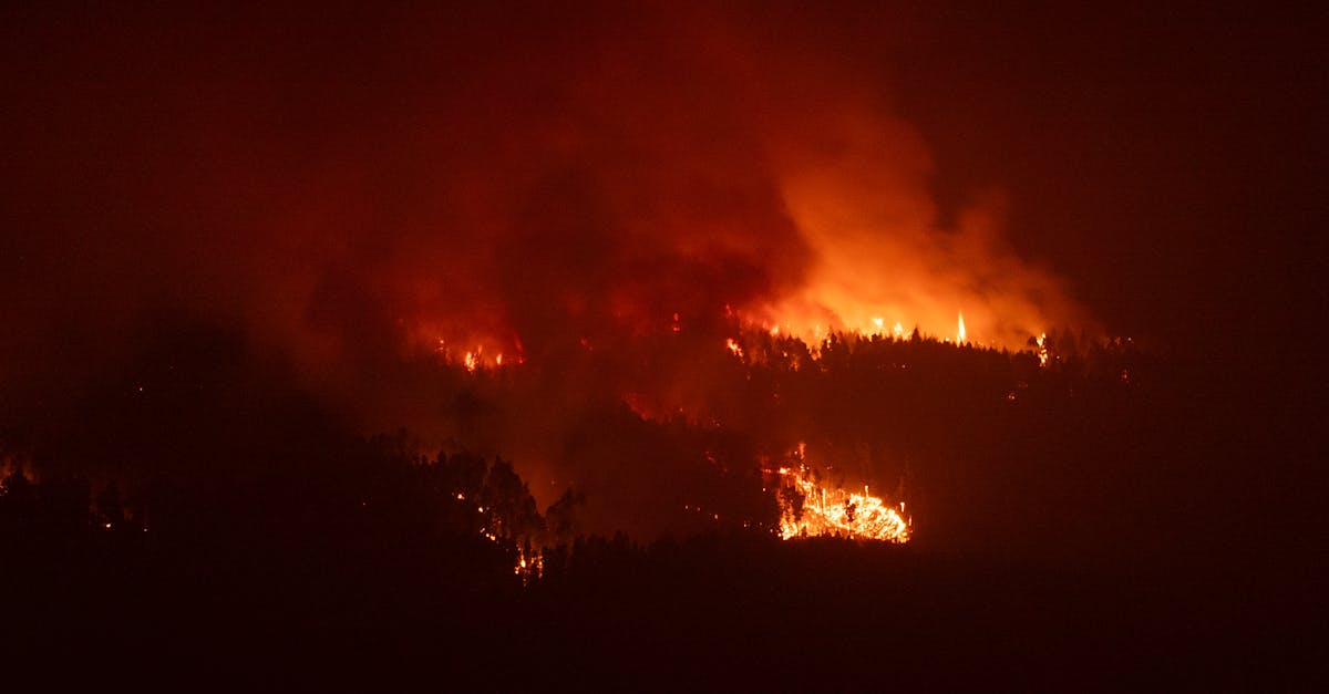 Incendiile devastatoare din Europa: Franța, Spania și Grecia sub amenințare
