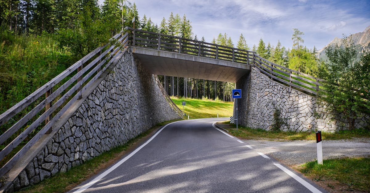 Finanțarea Autostrăzii Unirii: Ce spune noul ministru al Transporturilor?