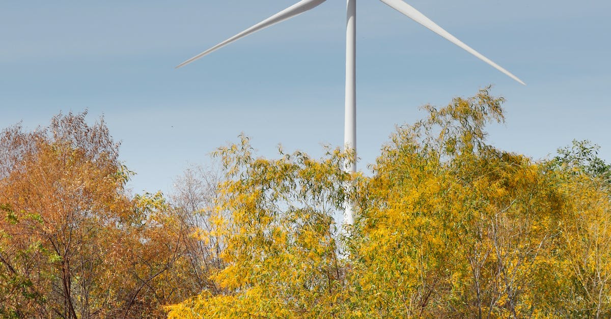 ANAR introduce reguli pentru concesionarea terenurilor destinate energiei regenerabile