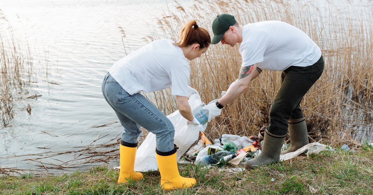 Lugojul se unește pentru ecologizare: Join us for a cleaner Timiș river