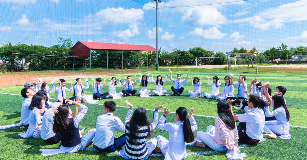 O vară plină de matematică la Colegiul „Hurmuzachi” din Rădăuți