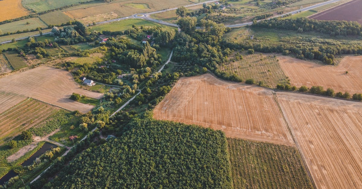 Cupru Min SA anunță o licitație pentru piese de schimb esențiale