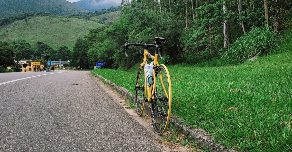 Proiectul Cu Bicicleta prin Vest: cea mai mare rețea cicloturistică din România ia avânt