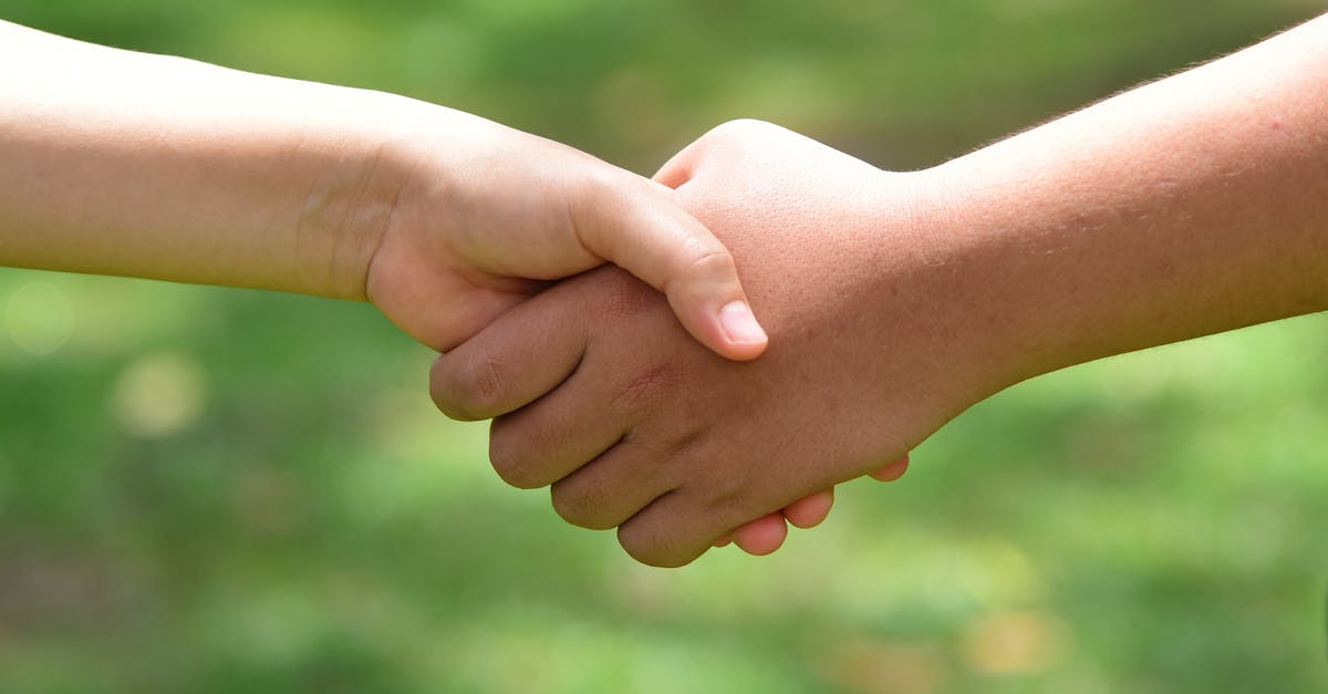 Un parc din Arad va purta numele unei provincii chineze