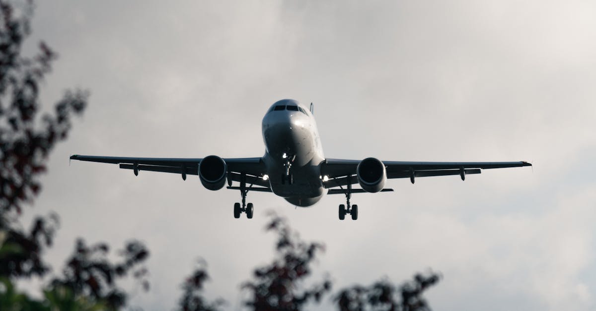 Povestea falimentului Blue Air: De la lider pe piață la insolvență