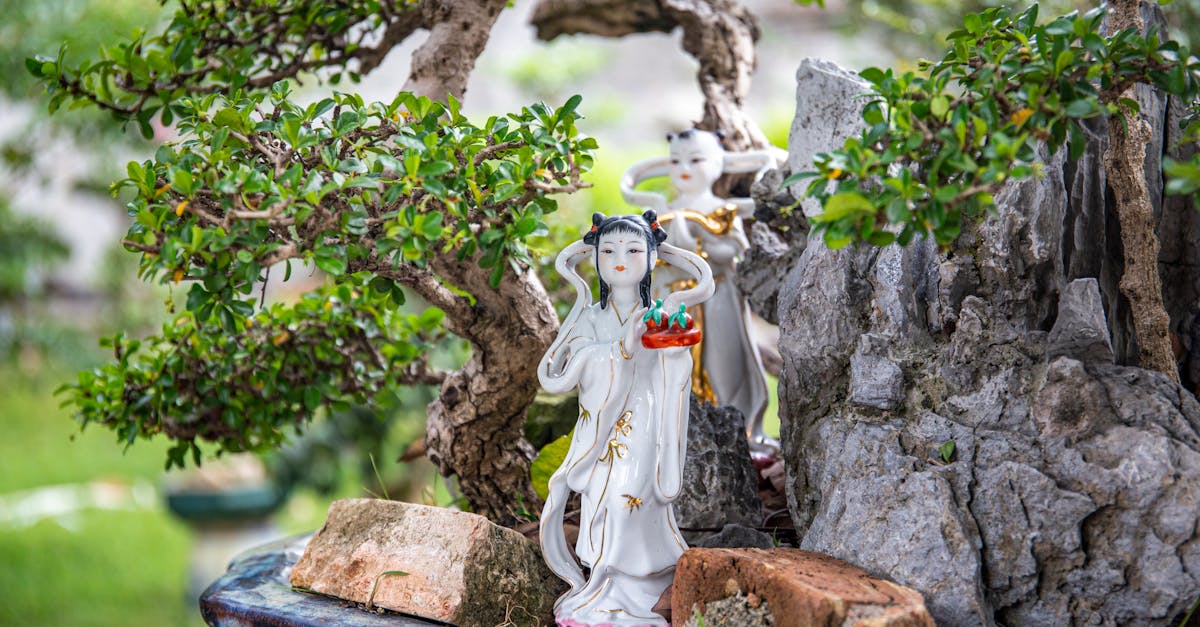 Bonsai în Cluj-Napoca: o expoziție de artă și spiritualitate japoneză