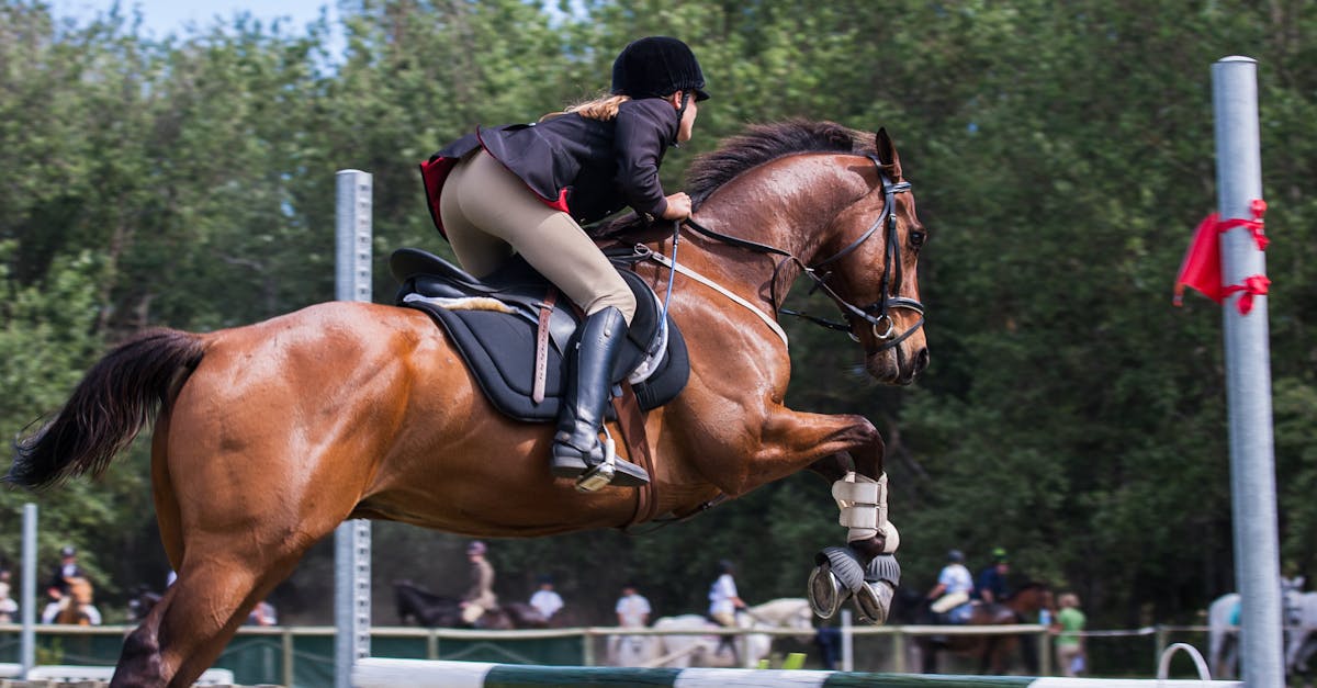 Competiția ecvestră Via Equestra debutează la Castelul Teleki din Posmuș