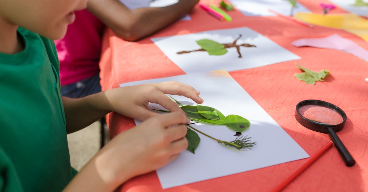 Ateliere captivante pentru copii la Siret: educație și distracție în vacanță