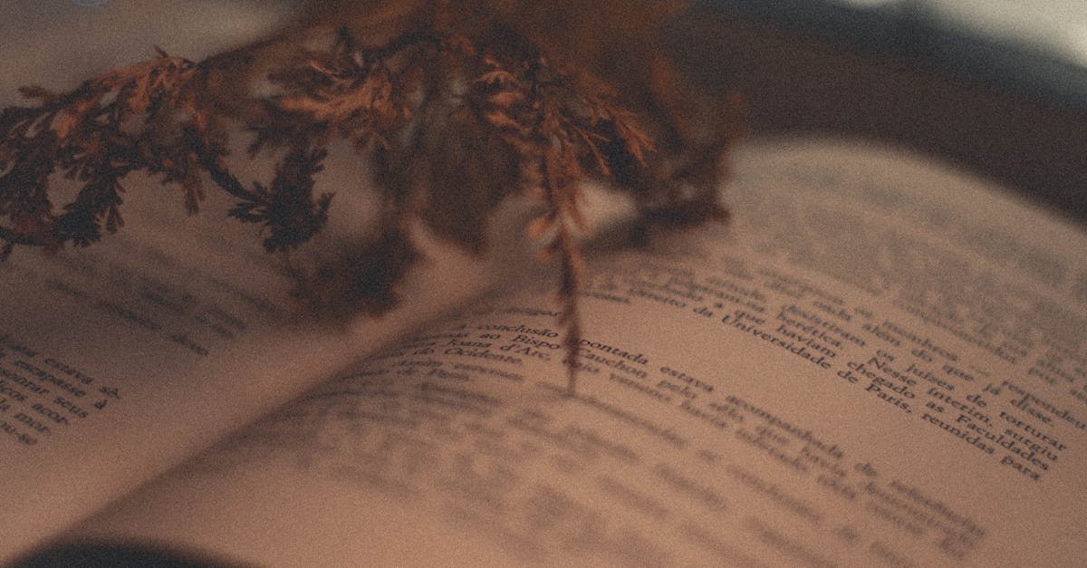 Marius Ichim revine în atenție cu volumul său de poezii