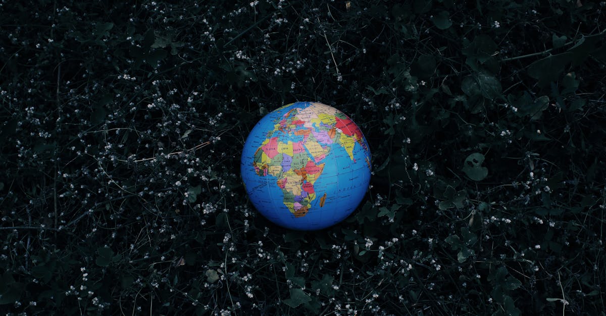 De ce 11 iulie este o dată crucială pentru populația globală