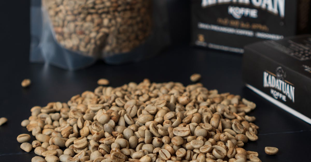 Kopi Luwak: descoperă cafeaua exotică cu un preț pe măsură