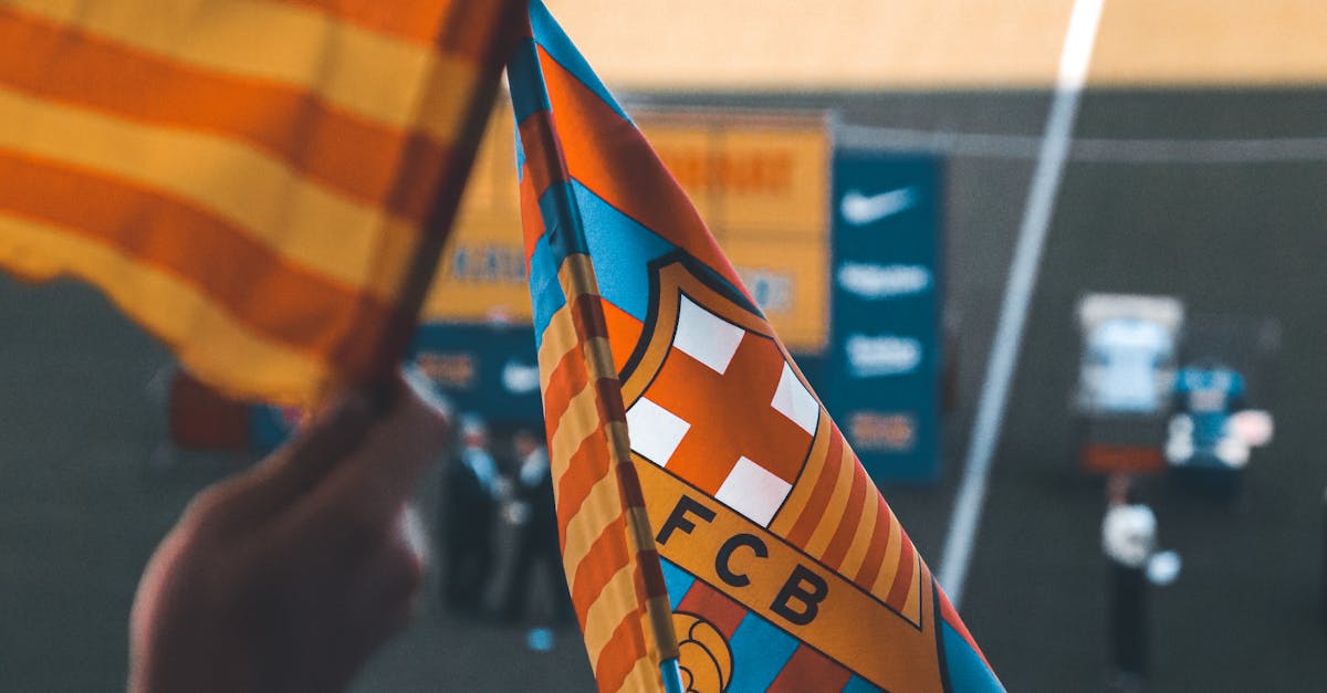 FC Hermannstadt își propune o nouă eră: Daniel Niculae anunță planurile pentru cupele europene